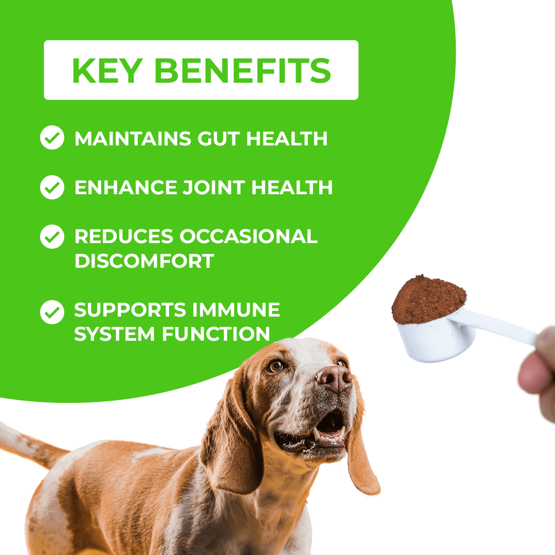 FurLife™ - Paw+ All-in-One Nutritional Powder for Dogs