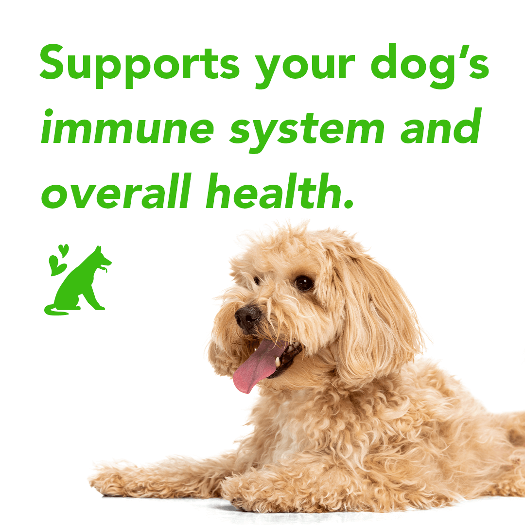 FurLife™ - All Natural Flea & Tick Defense Chews for Dogs