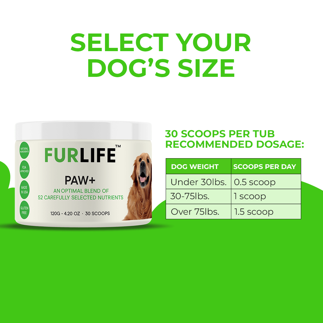 FurLife™ - Paw+ All-in-One Nutritional Powder for Dogs