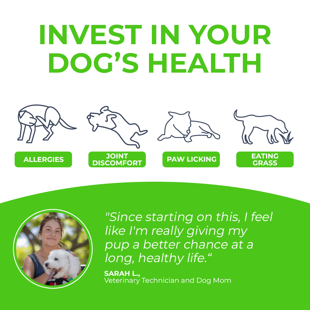 FurLife™ - Paw+ All-in-One Nutritional Powder for Dogs