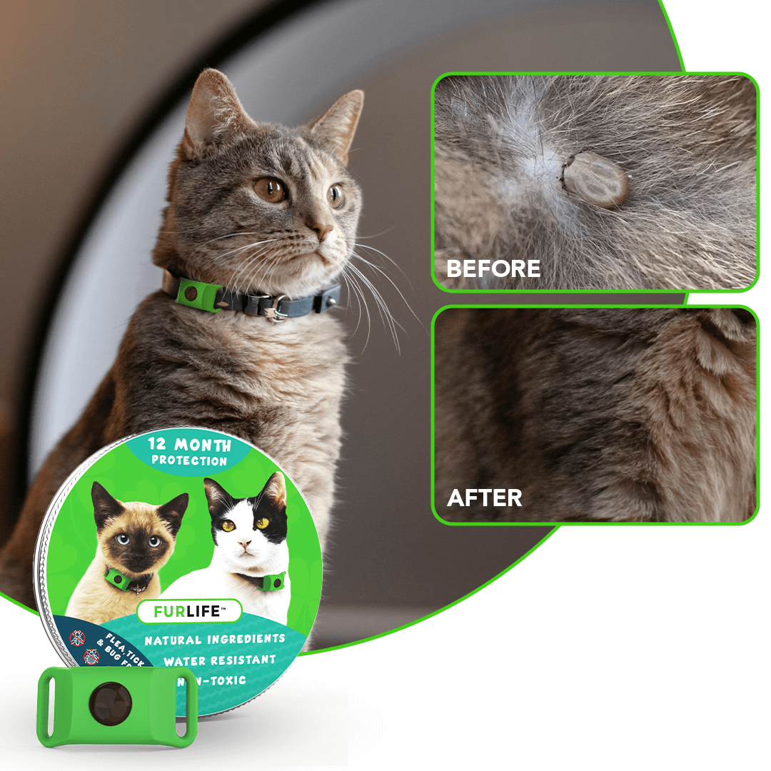 FurLife™ - 12 Months All Natural Flea and Tick Tags for Cats