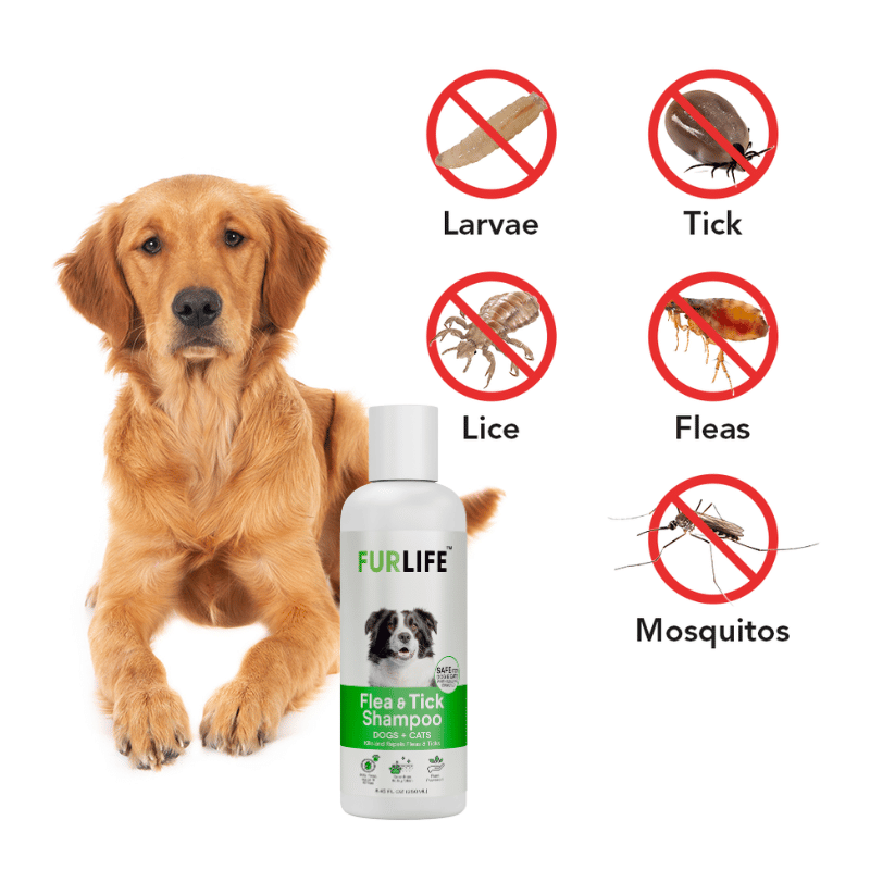 FurLife™ - Flea & Tick Shampoo for Dogs