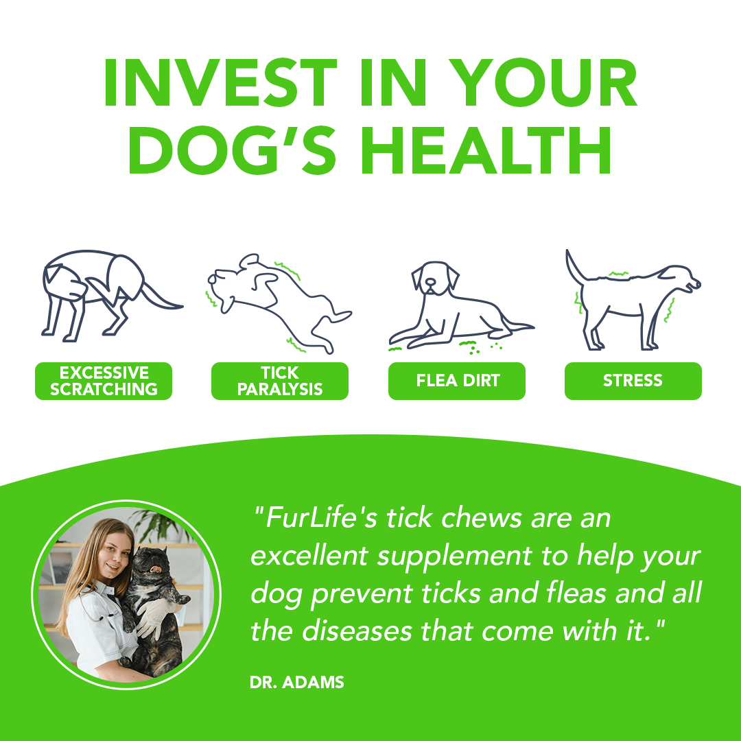 FurLife™ - All Natural Flea & Tick Defense Chews for Dogs