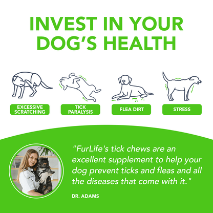 FurLife™ - All Natural Flea & Tick Defense Chews for Dogs