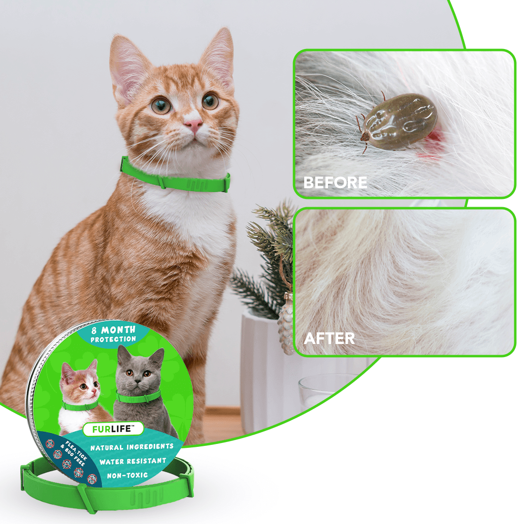 FurLife™ - 8 Months All Natural Flea and Tick Collar for Cats
