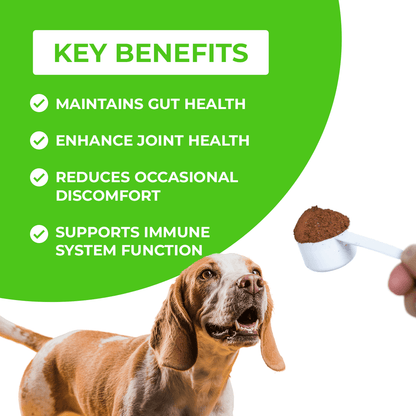 FurLife™ - Paw+ All-in-One Nutritional Powder for Dogs