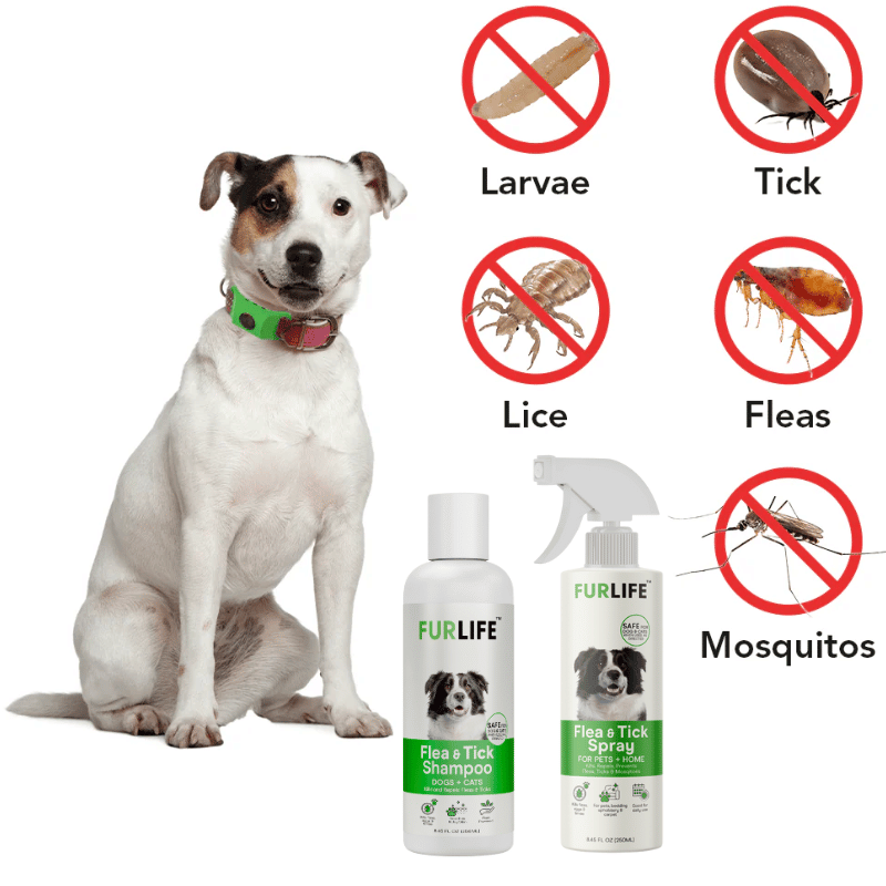 FurLife™ - Full Protection Bundle