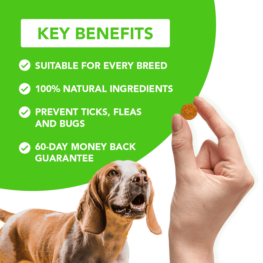 FurLife™ - All Natural Flea & Tick Defense Chews for Dogs